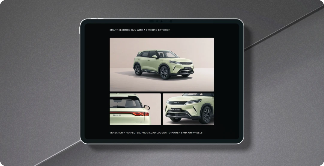 BYD Website Results