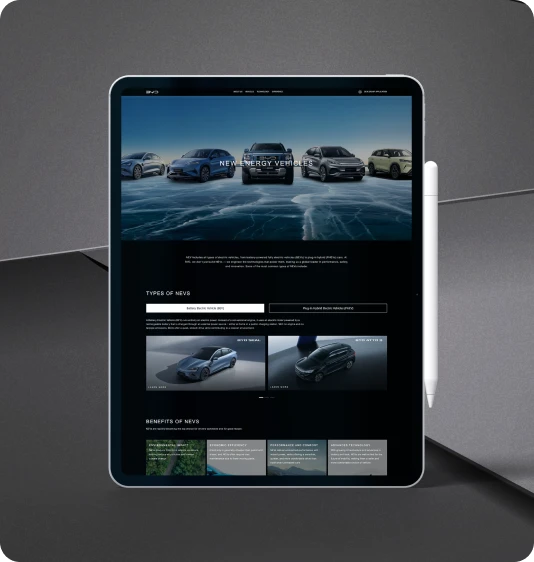 BYD Website Feature 1