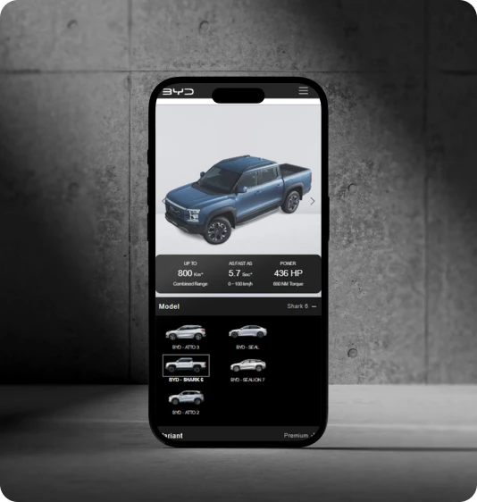 BYD Website Feature 2