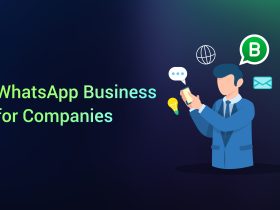 WhatsApp Business for Companies